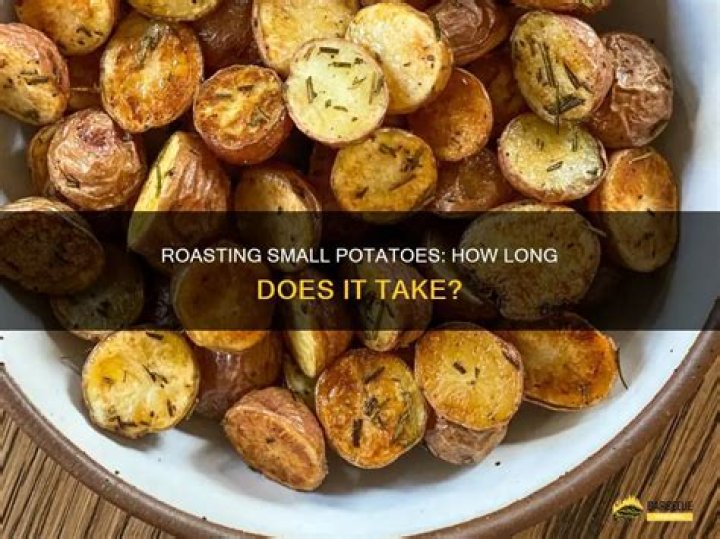 How long does it take to roast different vegetables?