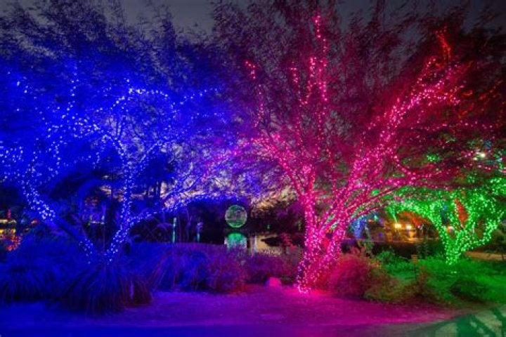 How long does it take to walk through Phoenix Zoo Lights?