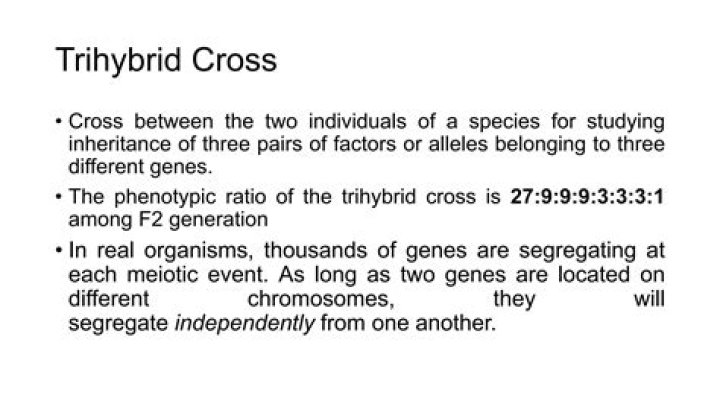 How many gametes are produced in a Trihybrid cross