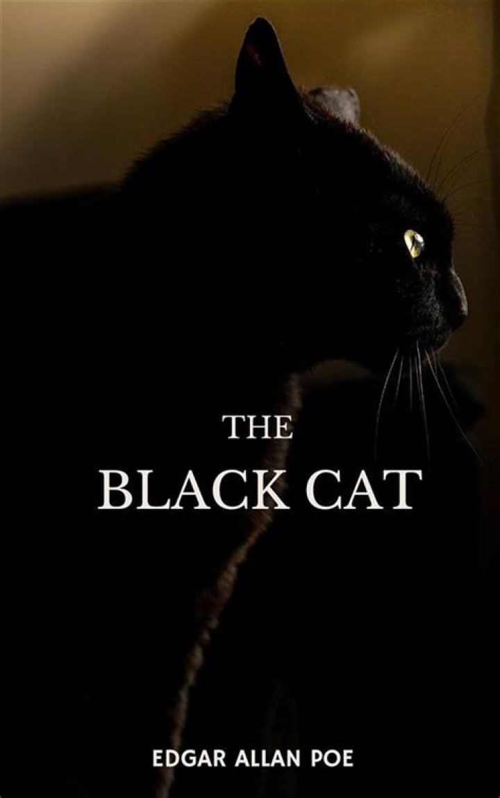 How many pages is the Black Cat by Edgar Allan Poe