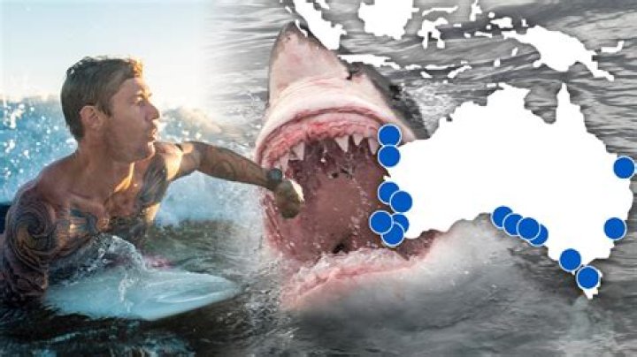 How many shark attacks were there in 2011?