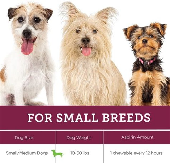 How much aspirin can I give my 65 lb dog