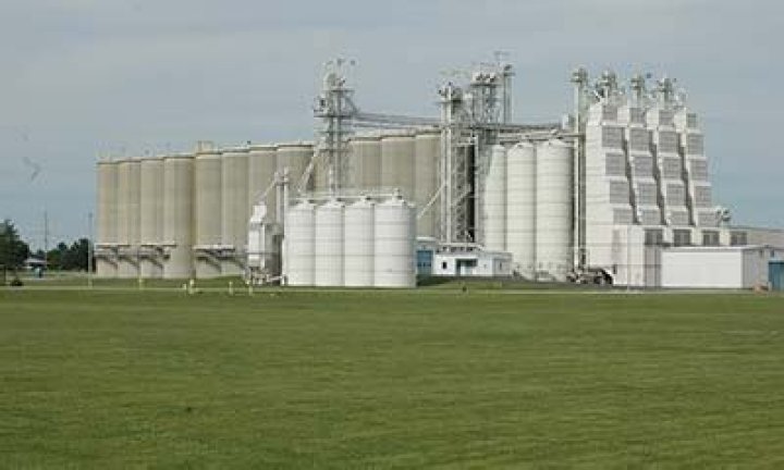 How much do grain merchandisers make