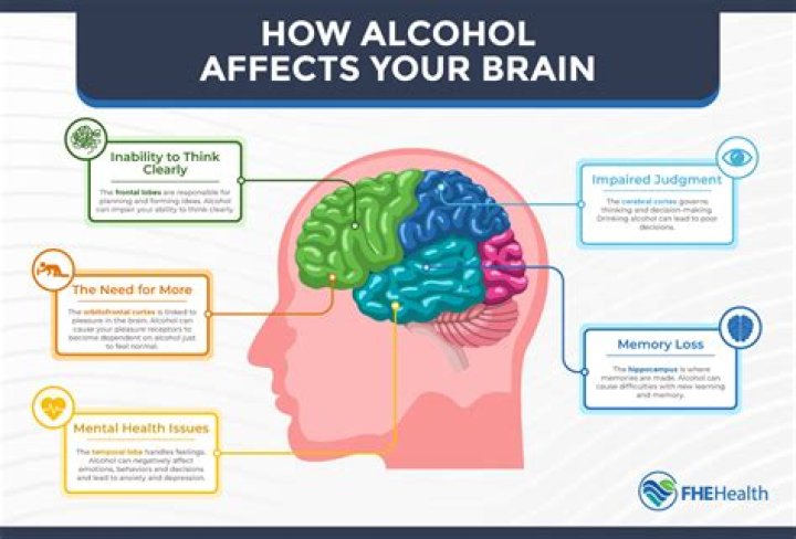 How much does alcohol affect brain cells?