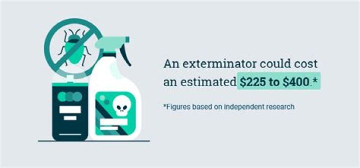 How much does an exterminator cost for rats?
