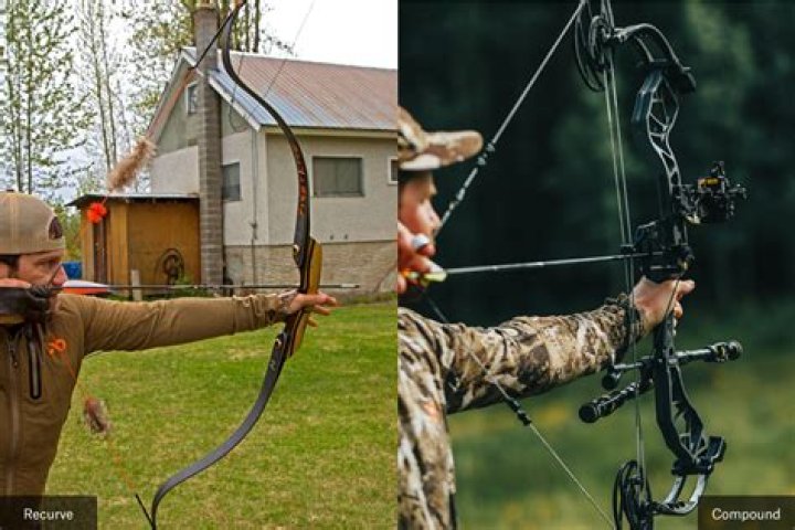 How much does archery lessons cost?