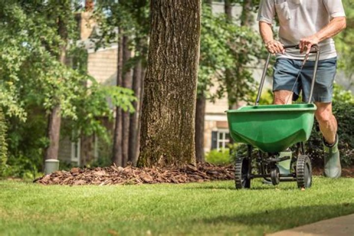 How much does it cost for a basketball personal trainer?