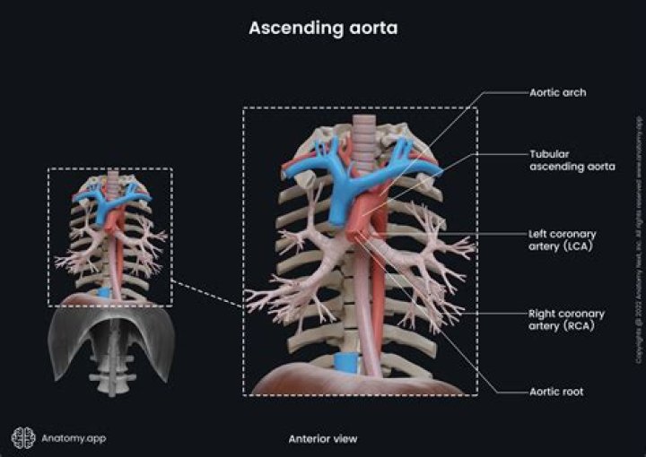 How much does RSNA cost?