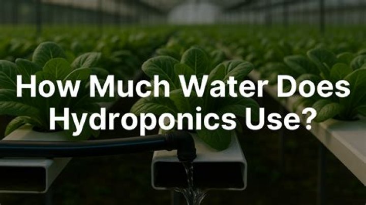 How much water does hydroponics use