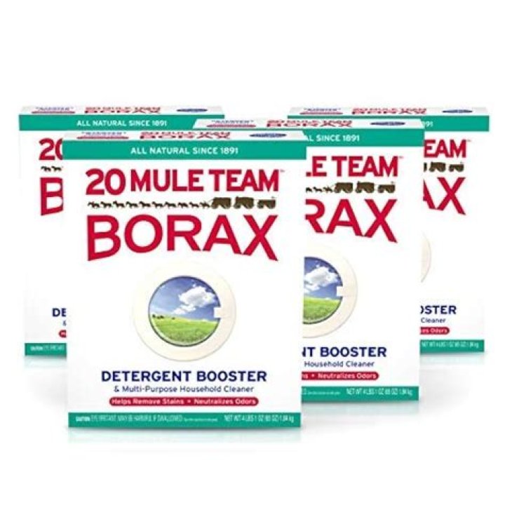 Is 20 Mule Team borax toxic to cats?