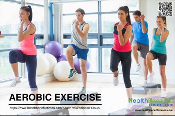 Is aerobic exercise good for seniors?
