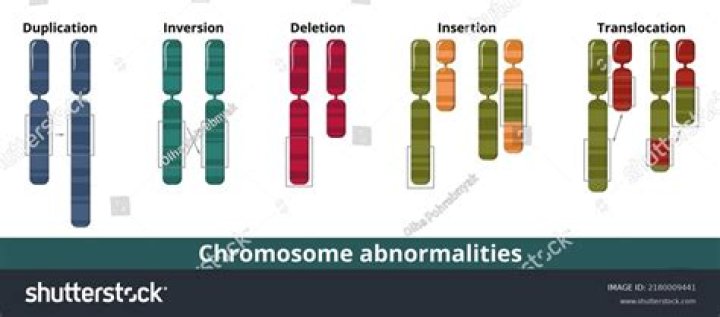 Is autism a chromosomal mutation?