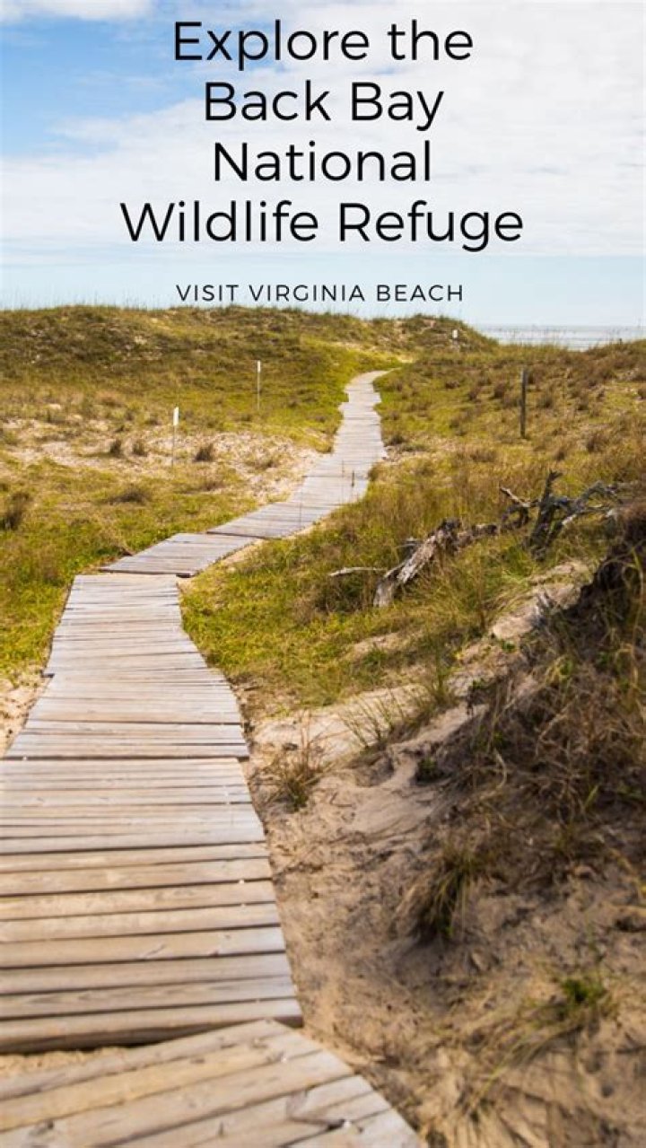 Is Back Bay refuge open?