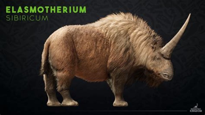 Is Brontotherium a rhino?