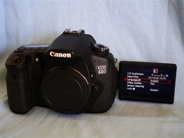 Is Canon 60D good for video recording?