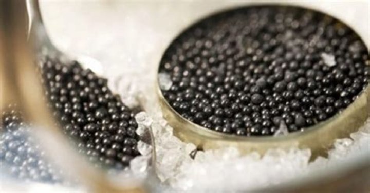 Is caviar good in taste?