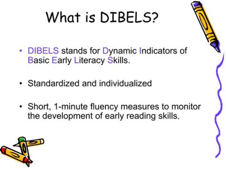 Is DIBELS research based?