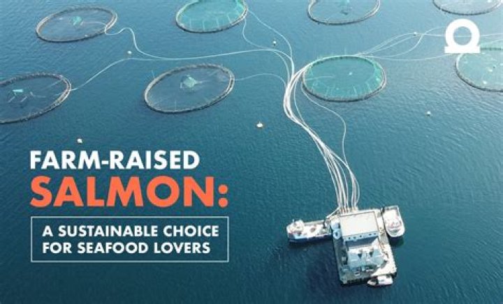 Is farm raised Atlantic salmon safe to eat?