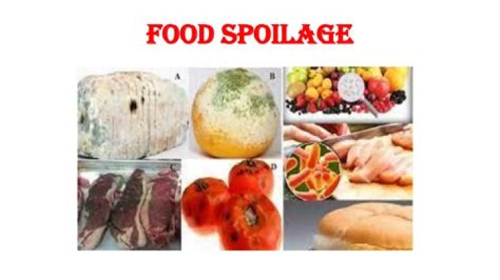 Is food spoilage covered on a homeowners policy