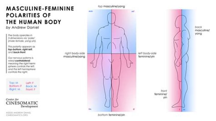 Is Frage in German masculine or feminine?