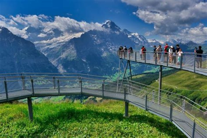 Is Gellert Grindelwald a girl?