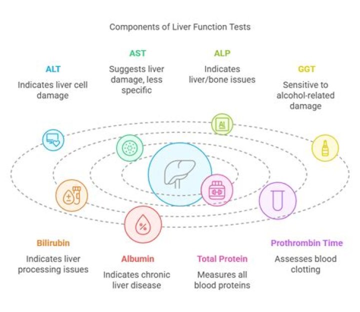 Is it necessary to fast before liver function test?