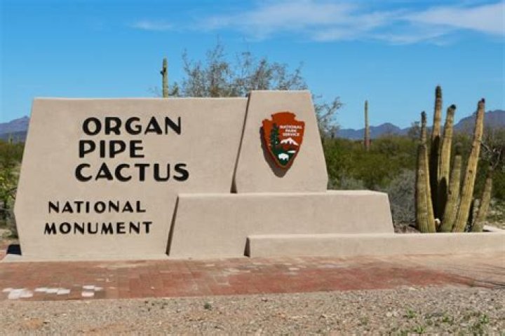 Is it safe to visit Organ Pipe National Monument?