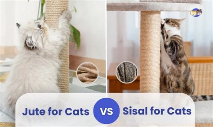 Is jute or sisal better for cats?