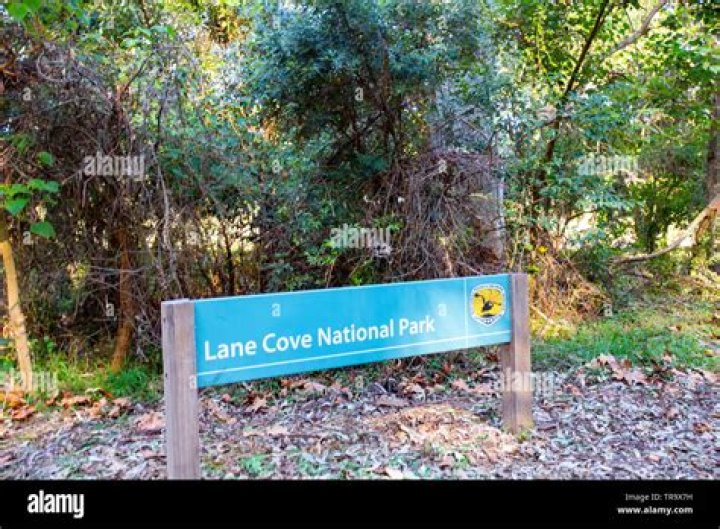 Is Lane Cove National park free?