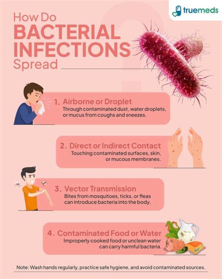 Is Morgellons a bacterial infection?