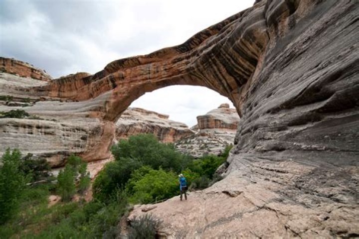 Is Natural Bridges National Monument worth it?