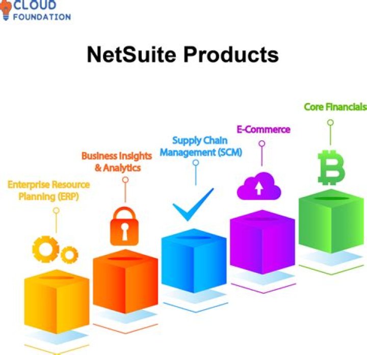 Is NetSuite a big company?