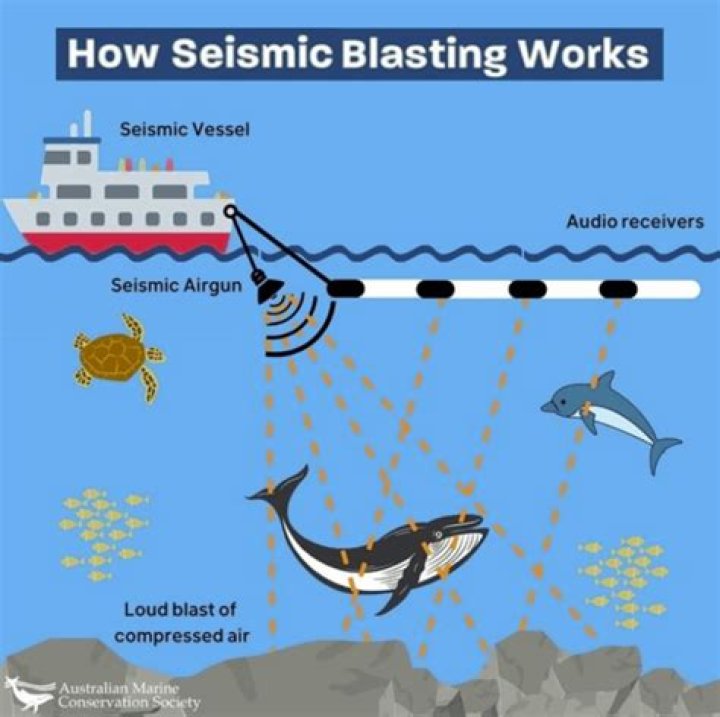 Is seismic blasting illegal?