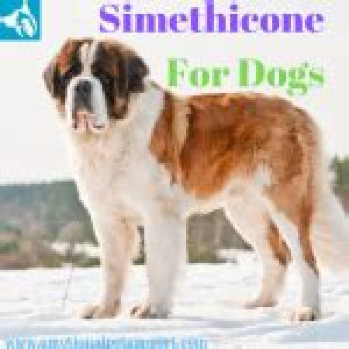 Is simethicone safe for dogs?