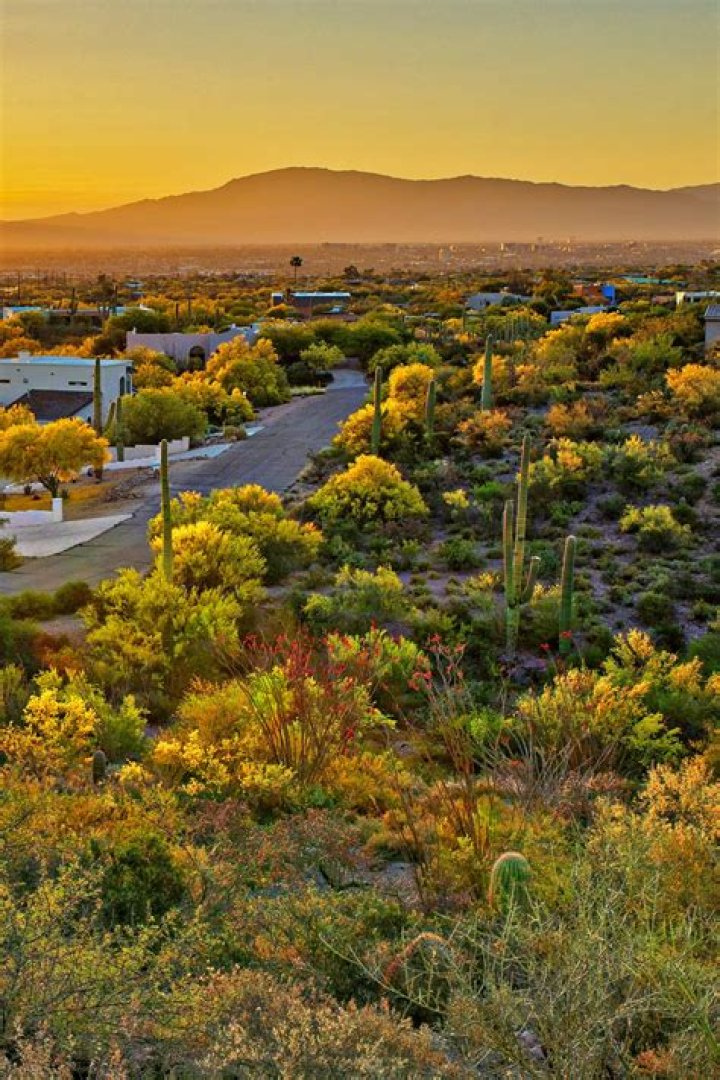 Is Splendora a good place to live?