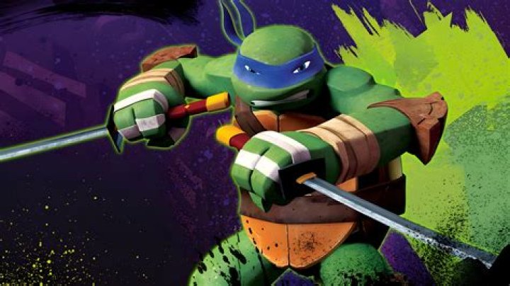 Is Teenage Mutant Ninja Turtles Wii multiplayer?