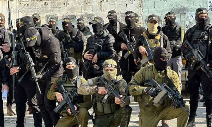 Is the FLQ a terrorist group?