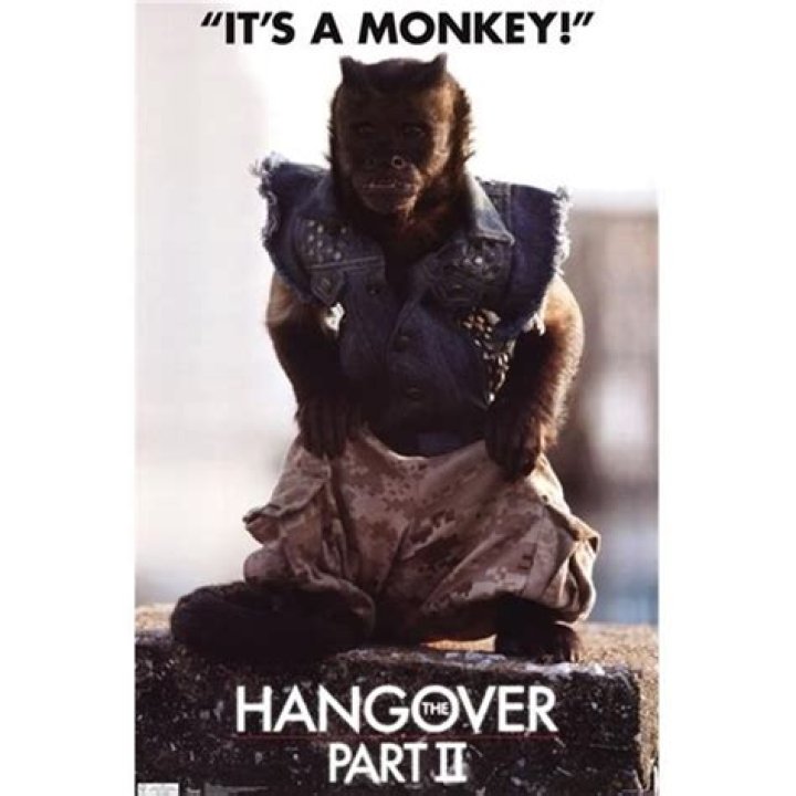 Is the monkey really smoking in Hangover 2?