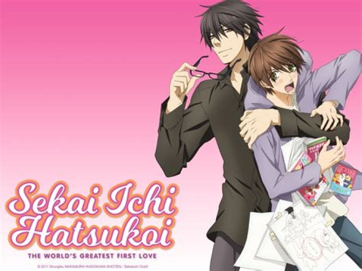Is there a season 2 of Sekai Ichi hatsukoi?
