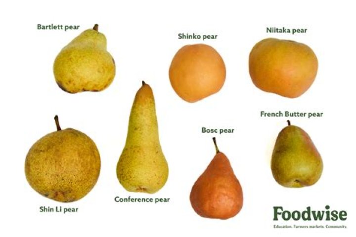 Is there really a pear phone?