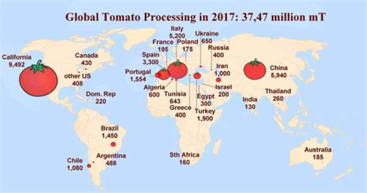 Is tomatoes good for the heart