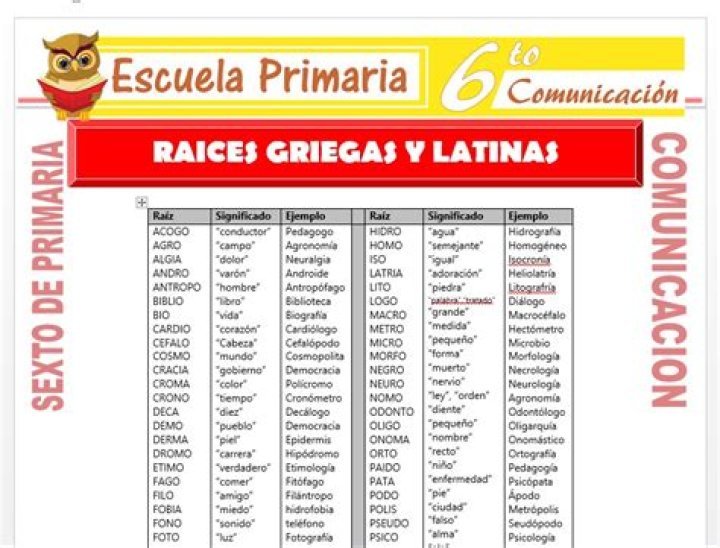 ¿Qué son las raíces latinas