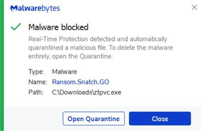 Ransom.Snatch