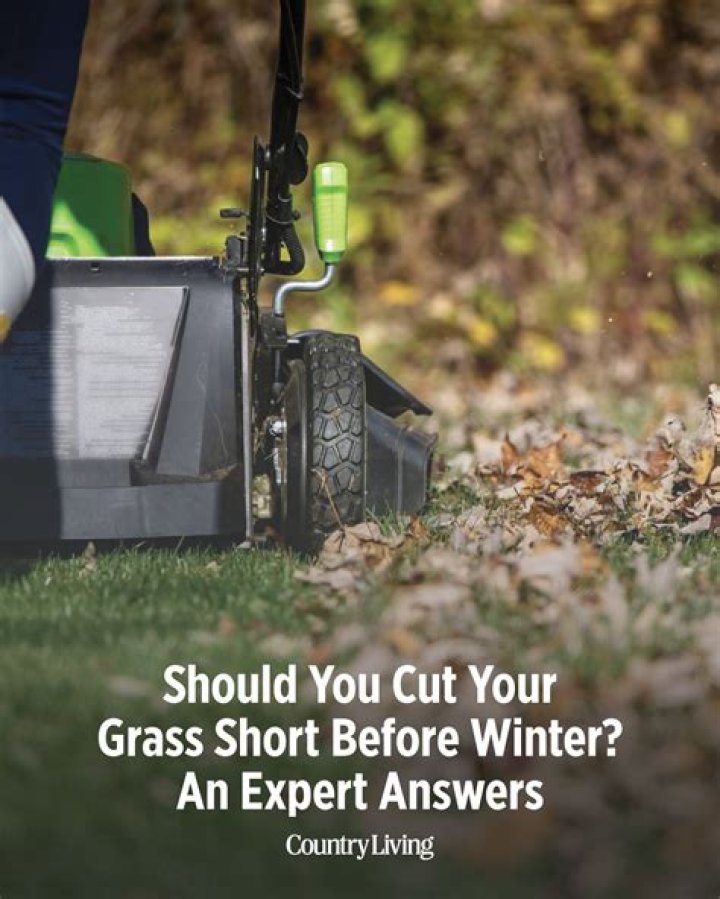 Should you cut your grass short before winter