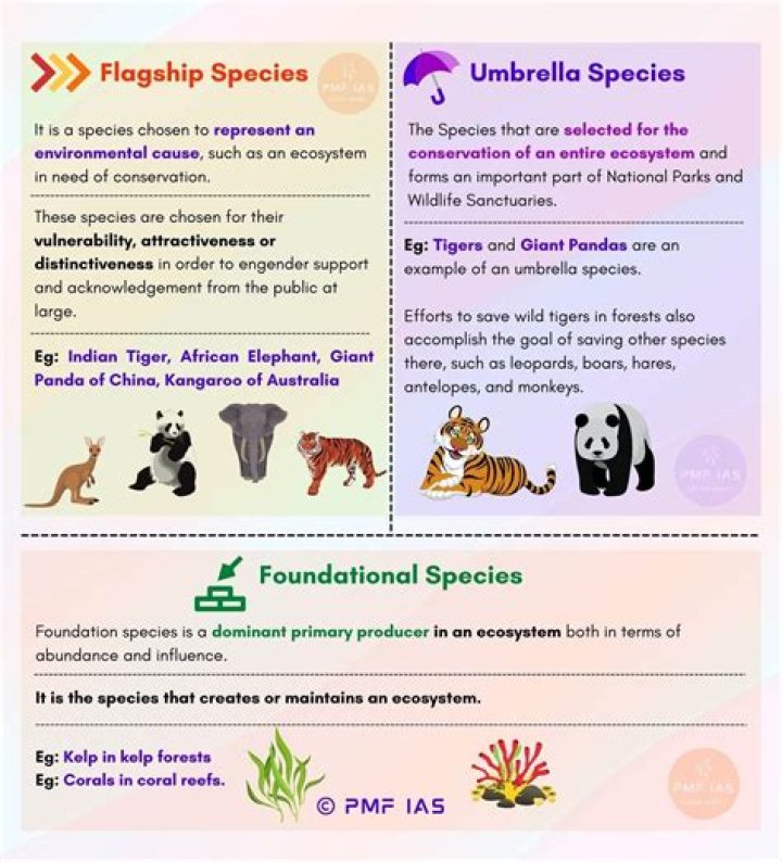 What animals are flagship species?