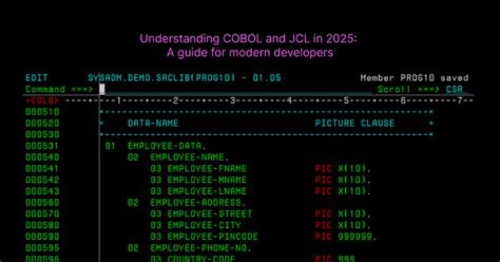 What are 66 and 88 level used for in COBOL?