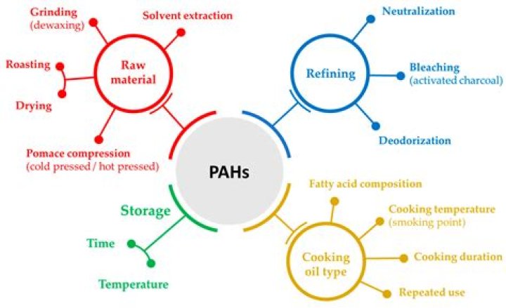 What are examples of PAHs?