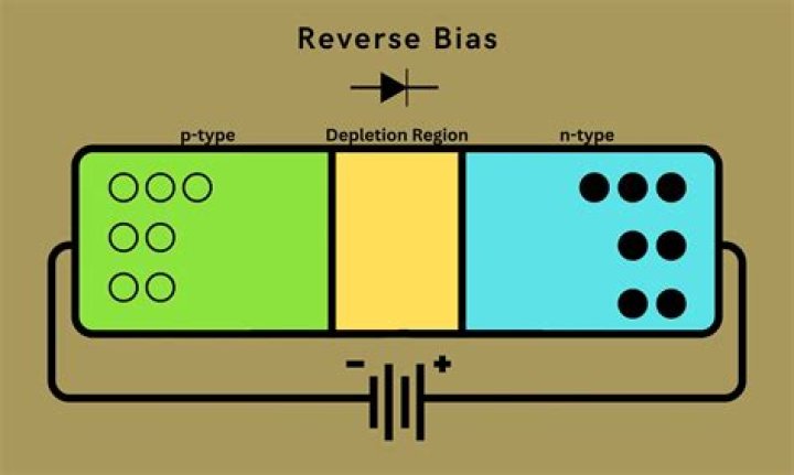 What are forward bias and reverse bias in semiconductors?