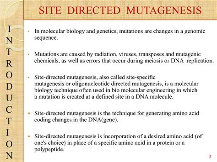 What are methods followed in site directed mutagenesis?