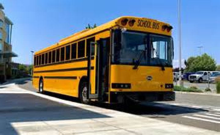 What are PCI busses?